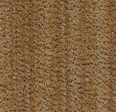 Грязезащитные покрытия Forbo Coral Brush 5754 straw brown фото 1 | FLOORDEALER